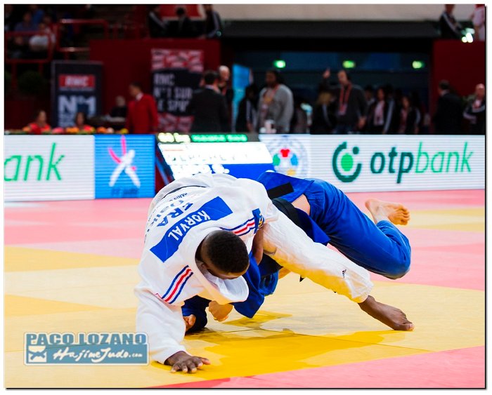 Paris 2014 by P.Lozano cat -66 kg (106)